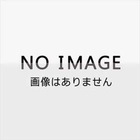 ito おもちゃ -取り寄せ- 0389-4542325120316-ds 4542325120316-ds