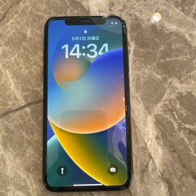 Apple iPhone X 本体