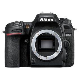 中古 １年保証 新品級 Nikon D7500 ボディ