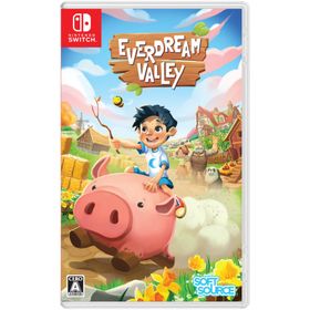 SOFT SOURCE (Switch)Everdream Valley 返品種別B