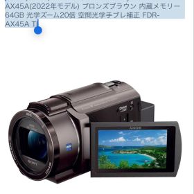 ソニー 4K ビデオカメラ Handycam FDR-AX45A TI