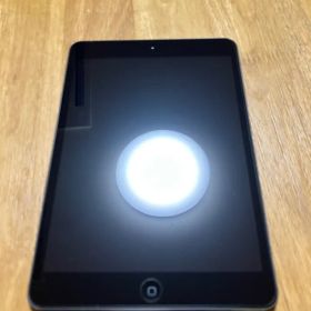iPad mini