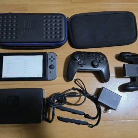 Nintendo Switch 本体 グレー 青 プロコン付き ケース付き
