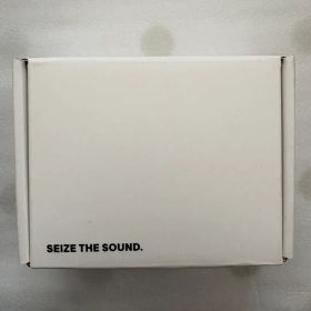 Bose QuietComfort Earbuds 5V Chilled
