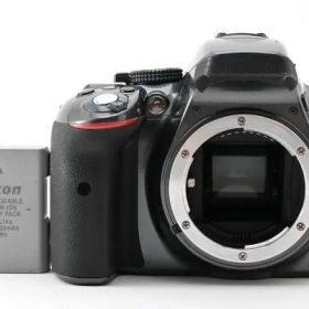 ★美品★ NIKON ニコン D5300 ボディ グレー #1952