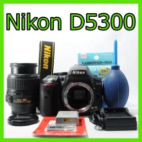 Nikon D5300★無線でスマホに転送★シャッター回数少★届いて即使える