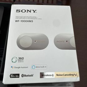 SONY ワイヤレスイヤホン WF-1000XM3