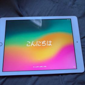 Apple iPad 第6世代 本体のみ 32GB wifi