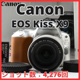 G11[8272]30★極美品★ キヤノン Canon EOS Kiss X9 ボディ 18-55mm IS STM レンズキット シルバー 【ショット数 4,276回】