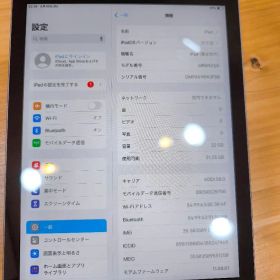 Apple iPad 第6世代 32GB 本体 キャリアバージョン