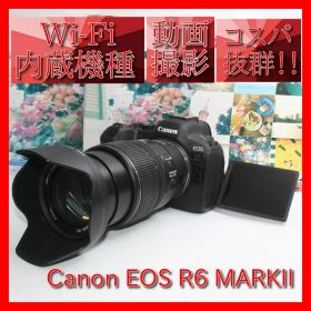 ❤️予備電池付❤️Canon EOS R6 MARK II 近遠対応レンズ