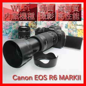 ❤️予備電池付き❤️Canon EOS R6 MARKII ダブルレンズ