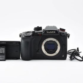 ★動作OK★ Panasonic LUMIX DC-GH5S デジカメ ボディ