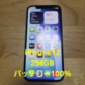 【格安】Apple｜iPhone 12 256GB｜SIMフリー ブルー