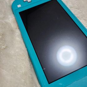 箱無し Nintendo Switch Lite あつまれ どうぶつの森 本体