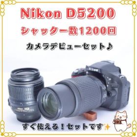 Nikon D5200 Wレンズ付き 一眼レフカメラデビュー シャッター数少