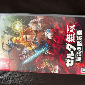 Nintendo Switch ゼルダ無双 厄災の黙示録
