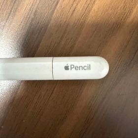 Apple Pencil USB-Cジャンク品