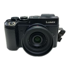 LUMIX DMC-GX8【中古】