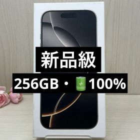 ✅ほぼ新品・100%✨iPhone 16 Pro 256GB❣️充放電4回