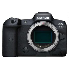 【中古】【1ヶ月保証】 キヤノン Canon EOS R5 ボディ ミラーレス一眼