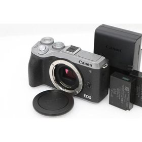 【全額返金保証】良品｜キヤノン EOS M6 Mark II ボディ [シルバー] CA01-D314-2P1A