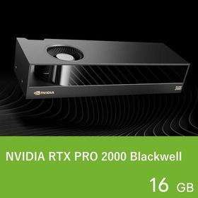 NVIDIA グラフィックボード NVIDIA RTX PRO 2000 Blackwell 【代引き不可】 6901-2710020185813