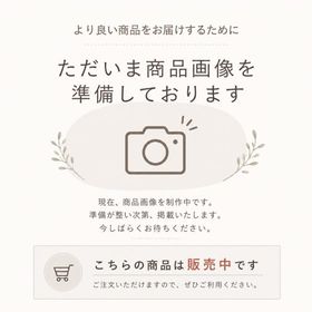 Fitbit Charge 6 ＆ Charge 5 用ウーブンベルト プリズムプライド Sサイズ