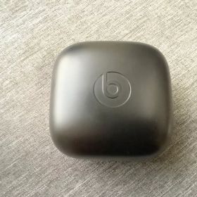 Beats Powerbeats Pro 本体