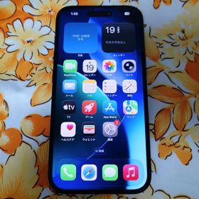 【美品】iPhone 15 128GB ブラック SIMフリー imei9379