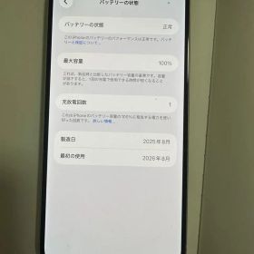 Apple iPhone 15 plus 128gb本体