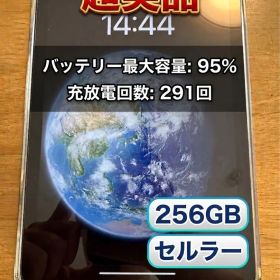 iPad mini 第6世代 256GB Cellular モデル