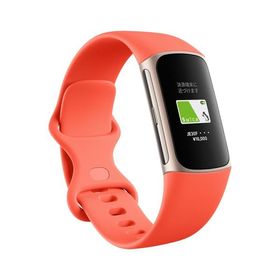 Google Fitbit Charge 6 活動量計 トラッカー Coral Champagne Gold 本体 トラッカー 心拍計 日本正規品 ギフト