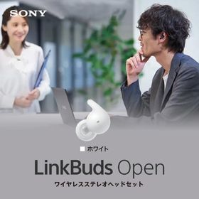 ソニー SONY 完全ワイヤレスイヤホン Bluetooth オープンイヤー LinkBuds WF-L910 WZ