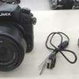 ミラーレス一眼 DMC-GH4 PANASONIC