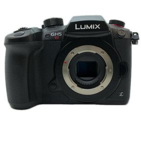 パナソニック Panasonic ミラーレス一眼 LUMIX DC-GH5S【中古】