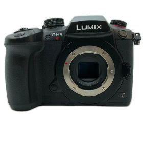 パナソニック Panasonic ミラーレス一眼 LUMIX DC-GH5S【中古】