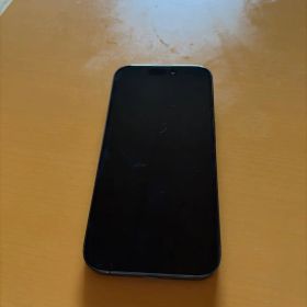 Apple iPhone 15pro 本体