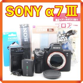 美品 SONY α7Ⅲ ILCE-7M3 高画質＆高性能！フルサイズ ミラーレス