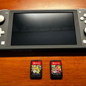Nintendo Switch Lite 本体 グレー ソフト付き