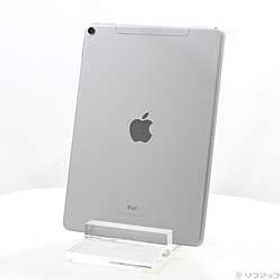 iPad Pro 10.5インチ 512GB スペースグレイ MPME2J／A SoftBank ［10.5インチ液晶／A10X-Fusion］