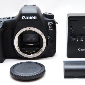 ★美品 ショット数７８回 Canon EOS 6D Mark II ボディー EOS6DMK2 キヤノン★