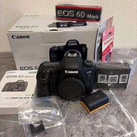 Canon EOS 6D Mark II ボディ