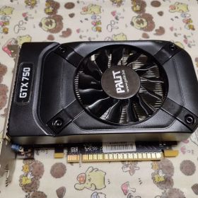 Palit GeForce GTX 750 StormX 本体