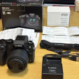 【中古美品】LUMIX DMC-G7 単焦点25mm付 シャッター4092回
