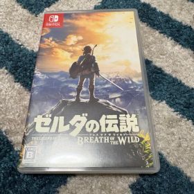 か*ら様 ゼルダの伝説 ブレス オブ ザ ワイルド Nintendo Switc