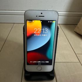 Apple iPhone SE 本体 シルバー 64GB カメラ⭕️ y2k