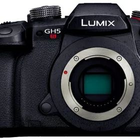 【中古】 パナソニック ミラーレス一眼カメラ ルミックス GH5S ボディ ブラック DC-GH5S-K