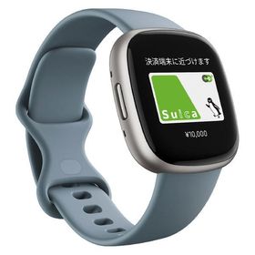 Google Fitbit Versa 4 Waterfall Blue/Platinum FB523SRAG-FRCJK 1個