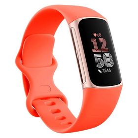 Google Fitbit Charge 6 Coral Band GA05184-AP 1個